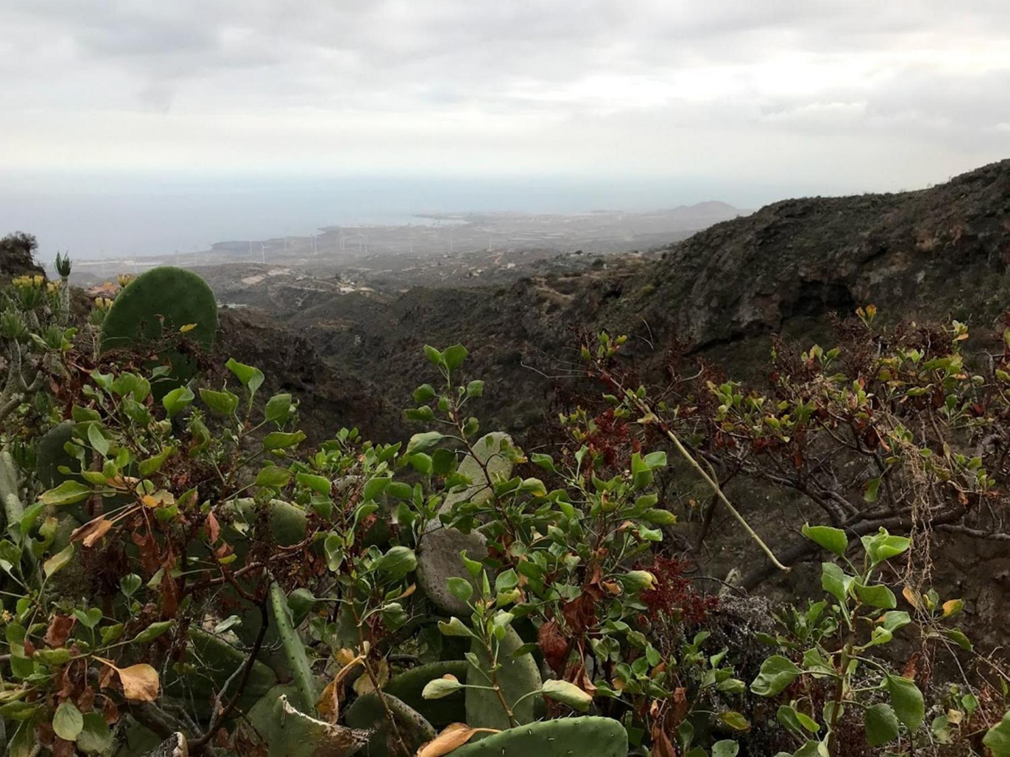 Finca Las Polinarias Casa Cueva En Fasnia Santa Cruz de Tenerife Kültér fotó