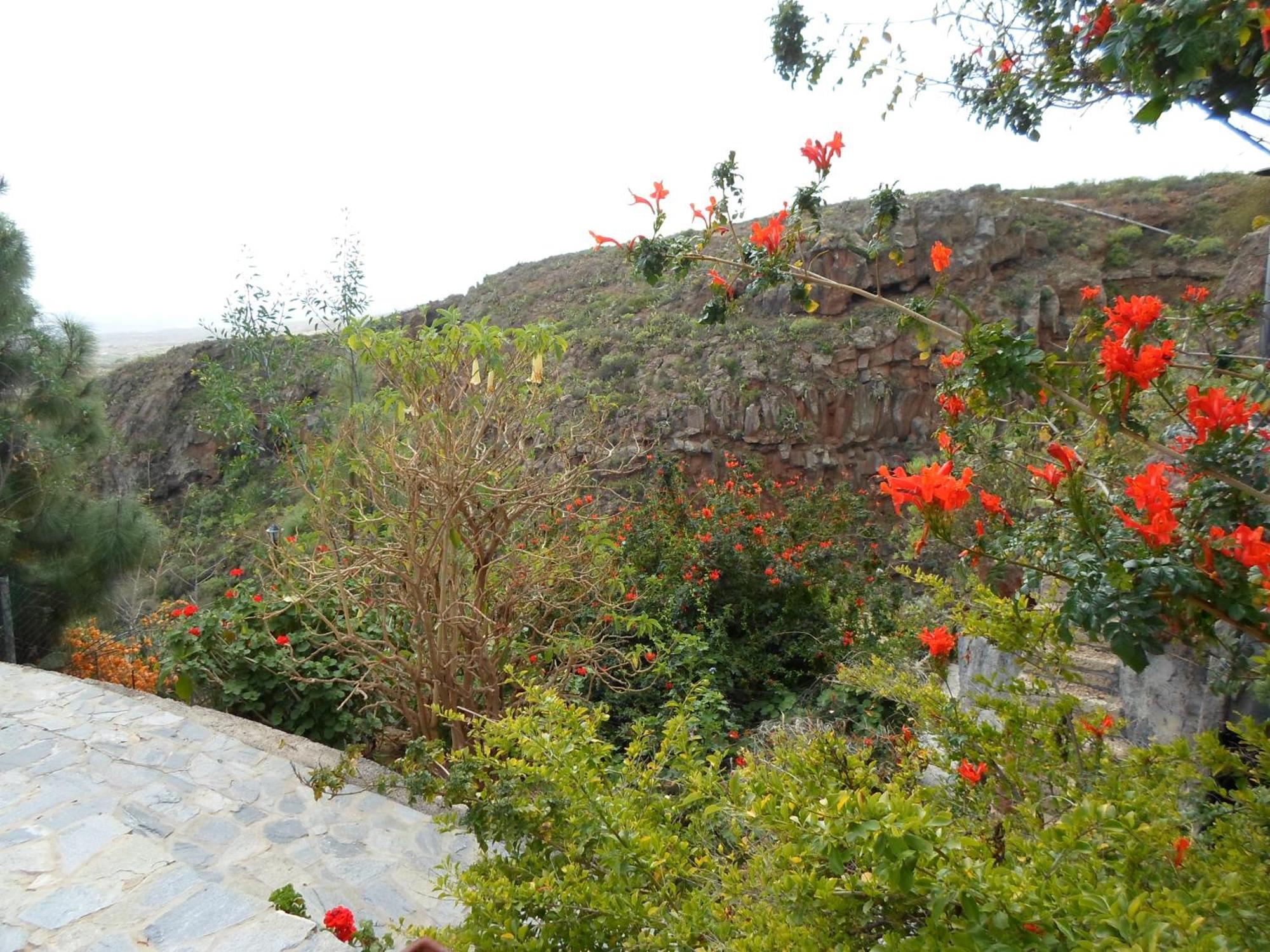 Finca Las Polinarias Casa Cueva En Fasnia Santa Cruz de Tenerife Kültér fotó